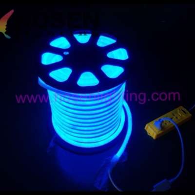 RGB rainbow neon with input voltage 110V