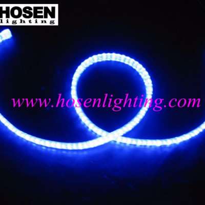 led Round 2Line Rainbow Rope led decoration rope light